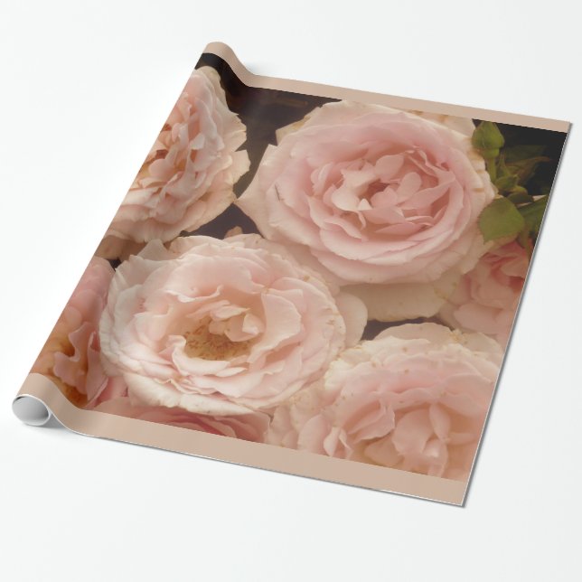 Wertvolles Rosen-Verpackungs-Papier Geschenkpapier (Ungerollt)
