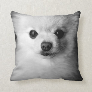 Wertvolles Spitz-Kissen Kissen