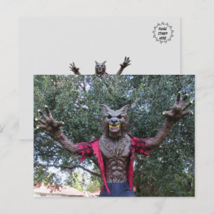 Werwolf / Wolf Man Postcard Postkarte