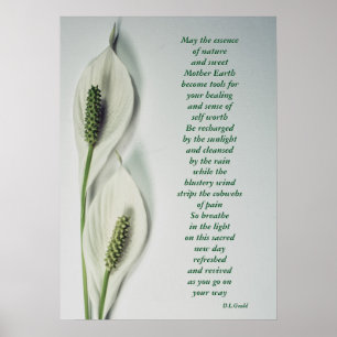 "Wesentliches von Nature Poster