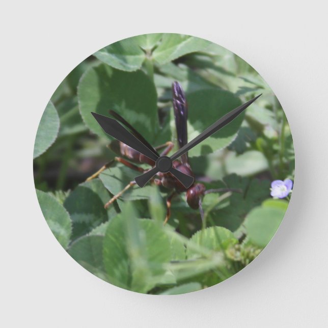 Wespenzange Runde Wanduhr (Vorderseite)