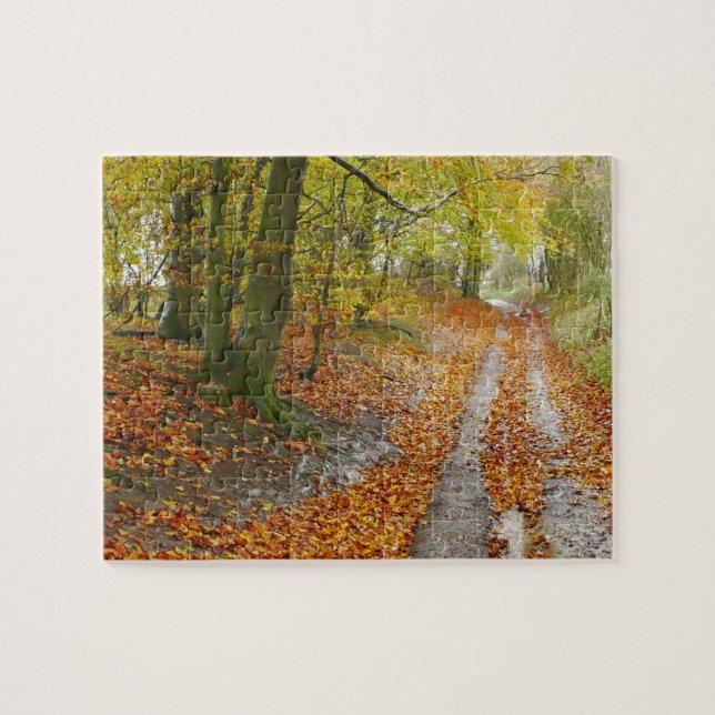West Berkshire Path im Herbstpuzzle (Horizontal)