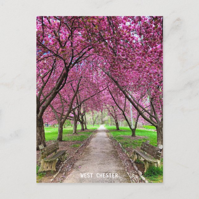 West Chester Everhart Park Post Card Postkarte (Vorderseite)