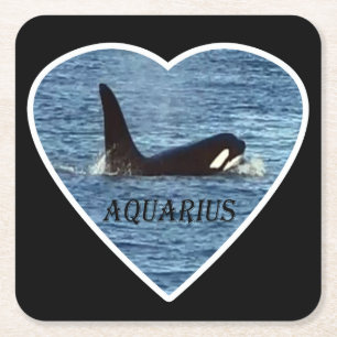 West Coast Killer Whale "Aquarius" Orca Achterbahn Rechteckiger Pappuntersetzer
