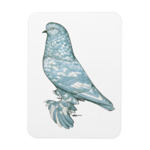 West-England Tumbler: Lavendel Mottle Magnet