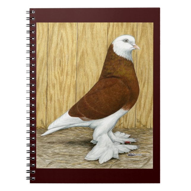 West-England Tumbler Red Baldhead Notizblock (Vorderseite)