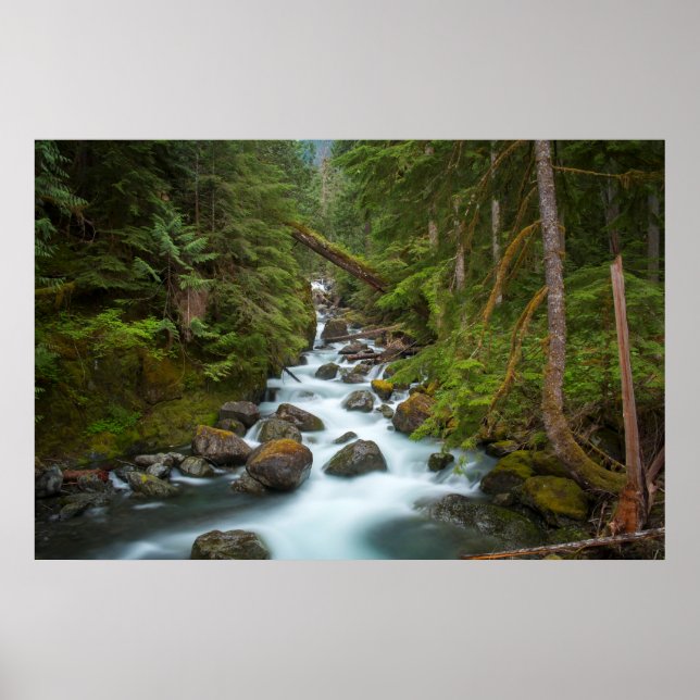 West Fork Foss River Washington Poster (Vorne)