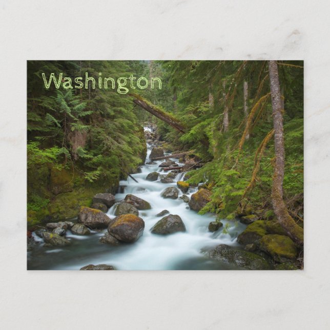 West Fork Foss River Washington Postkarte (Vorderseite)