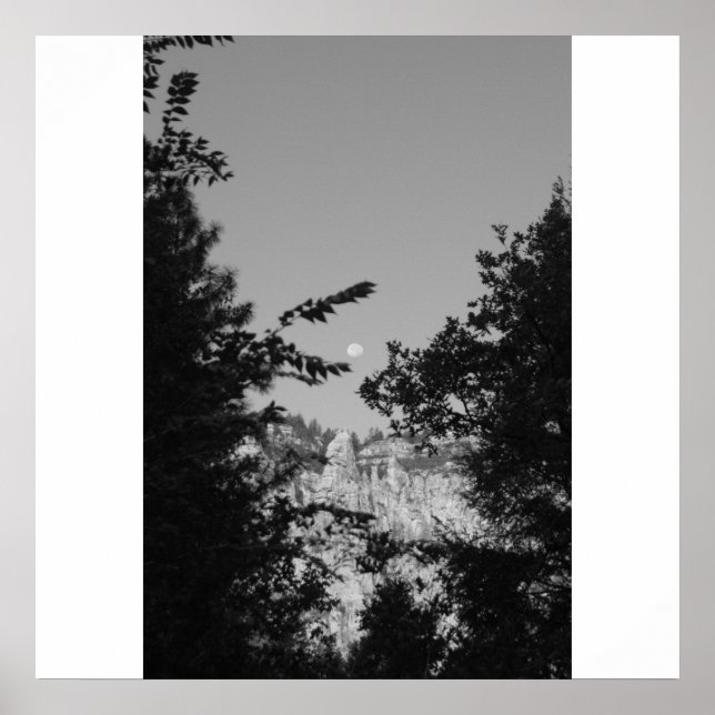 West Fork Poster (Vorne)