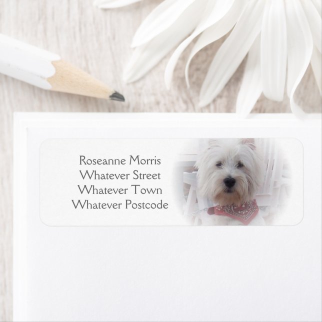 West Highland Terrier Address Label (Insitu)