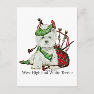 West Highland Terrier Postkarte