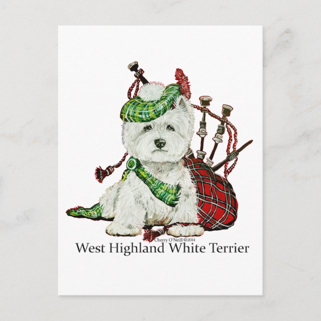 West Highland Terrier Postkarte (Vorderseite)