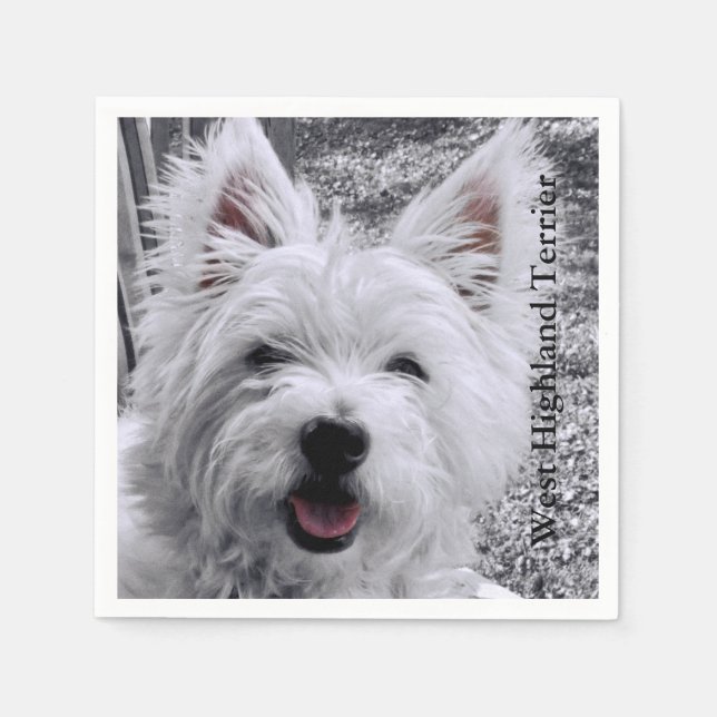 West Highland Terrier Serviette (Vorderseite)