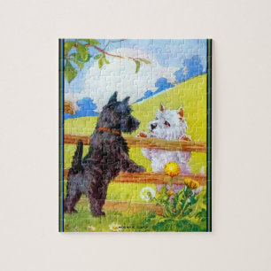 West Highland Terrier und Schottischer Terrier