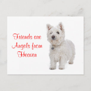 West Highland Terrier Westie Hunde Freunde Postkar Postkarte