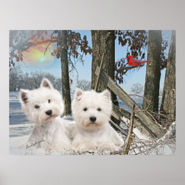 West Highland Terrier winter day Poster (Vorne)