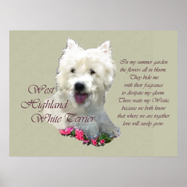West Highland White Terrier Art Print Poster (Vorne)