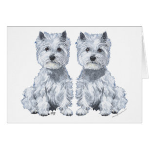West Highland White Terrier assis jumeaux!