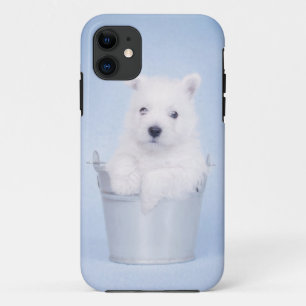 West Highland White Terrier iPhone 11 Hülle