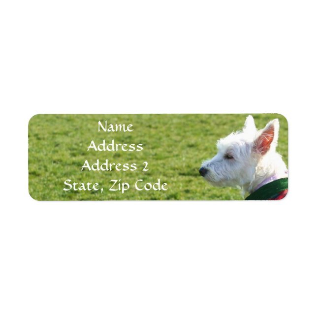 West Highland White Terrier Étiquettes de adresse (Devant)