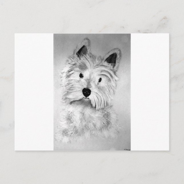 West Highland White Terrier Postkarte (Vorderseite)