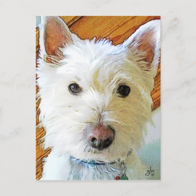 West Highland White Terrier Postkarte (Vorderseite)