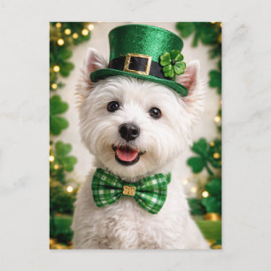 West Highland White Terrier St. Patrick’s Day Kart Postkarte