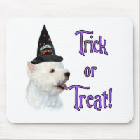West Highland White Terrier Trick