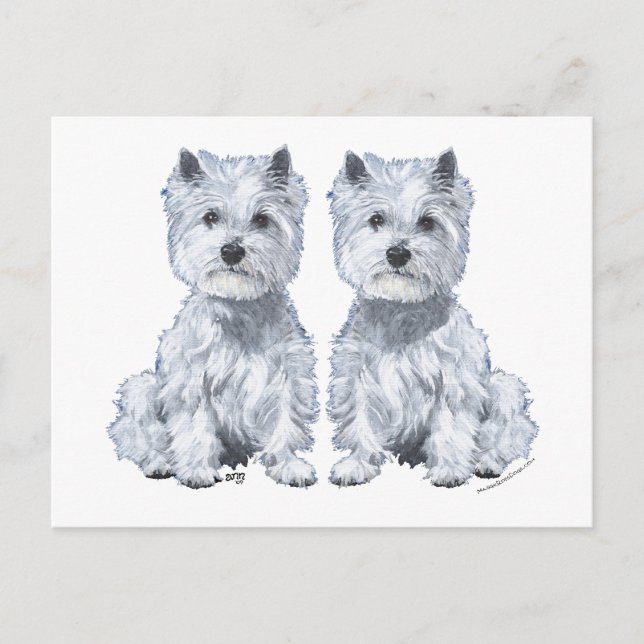 West Highland White Terrier Twins! Postkarte (Vorderseite)