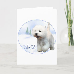 West Highland White Terrier Weihnachten