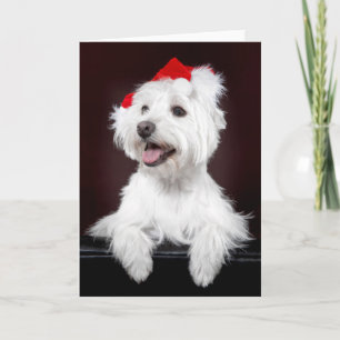 West Highland White Terrier Weihnachtskarte Feiertagskarte