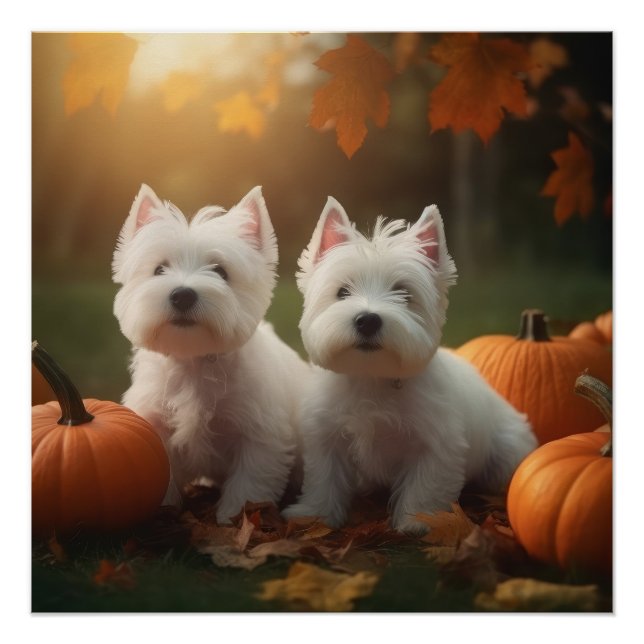 West Highland White Terrier Welppy Autumn Pumpkin Poster (Vorderseite)