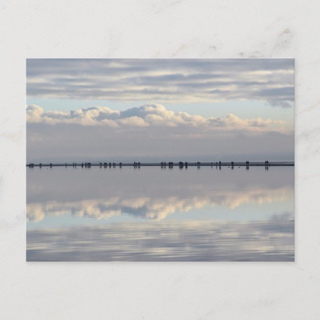 West Kirby Marina Postkarte (Vorderseite)