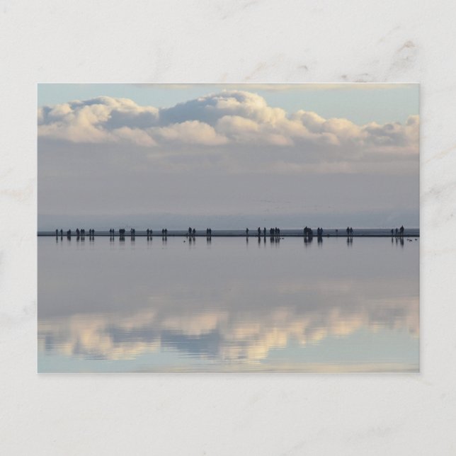 West Kirby Marina Postkarte (Vorderseite)