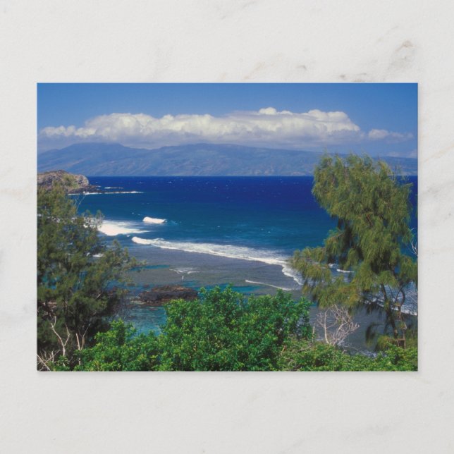 West Maui Ocean View Postkarte (Vorderseite)