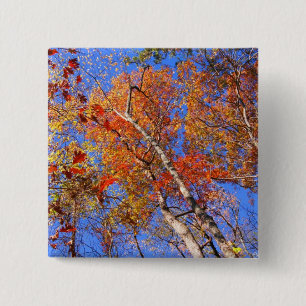West Mt. Herbst-Heißquellen-Geschenke des National Button
