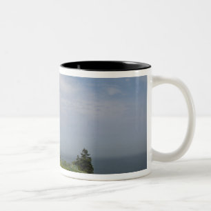 West Quoddy Head Lighthouse State Park ist der Zweifarbige Tasse