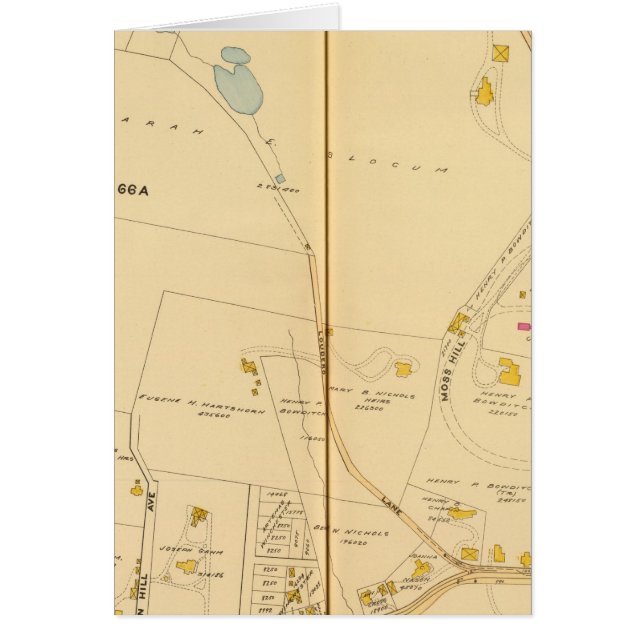 West Roxbury, Massachusetts 6 (Vorne)