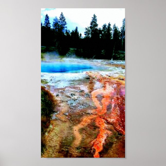 West Thumb Yellowstone Park Poster (Vorne)