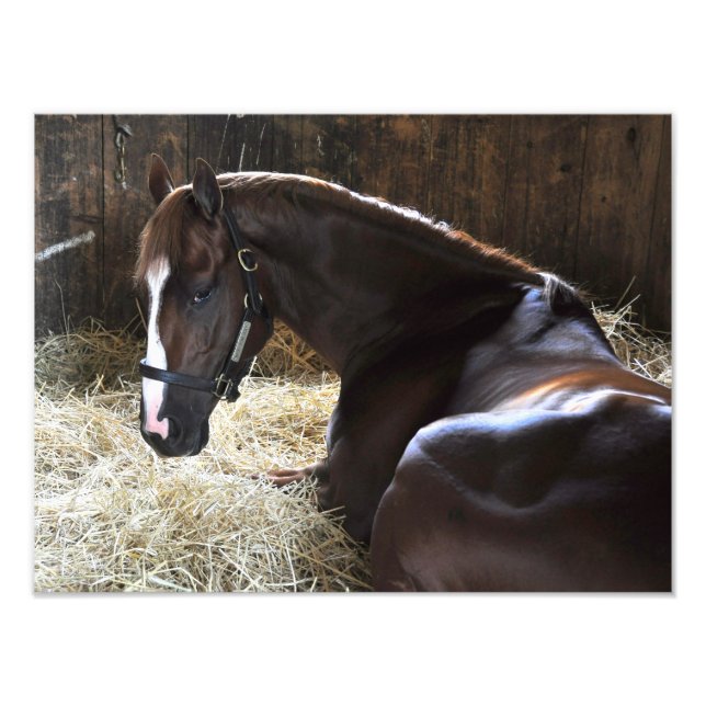 West Virginia Derby Gewinner "Madefromluck" Fotodruck (Vorne)