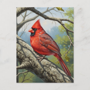West Virginia Staat Bird Nord Kardinal Postkarte