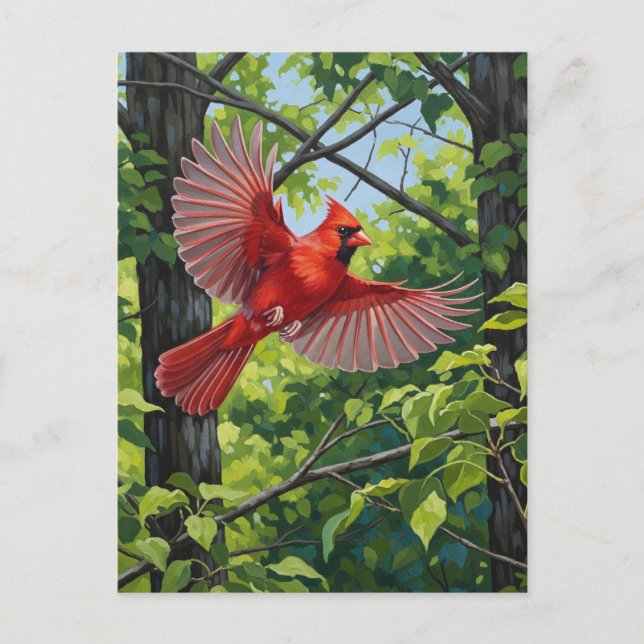 West Virginia Staat Bird Nord Kardinal Postkarte (Vorderseite)