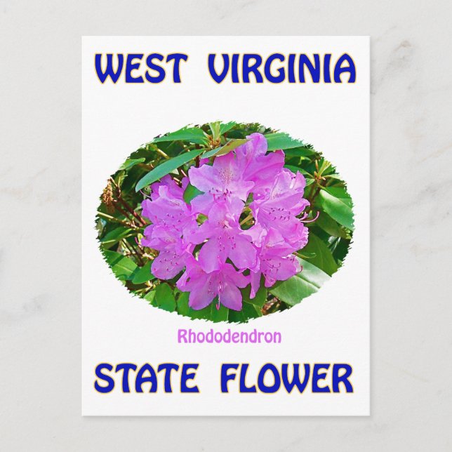 West Virginia Staat Blume T - Shirt & Geschenke Postkarte (Vorderseite)