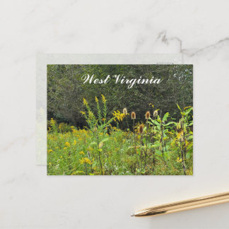 West Virginia Wildblumen Postkarte