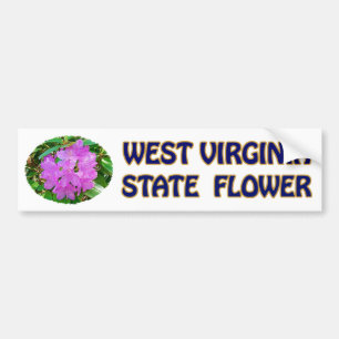 West- VirginiaStaats-Blumen-Autoaufkleber Autoaufkleber