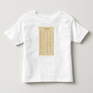 Westchester County, New York 4 Kleinkind T-shirt