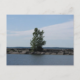 Westcott Bay Postkarte