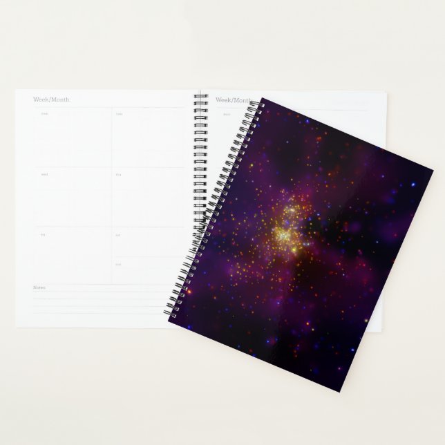 Westerlund 2 planer (Anzeige)