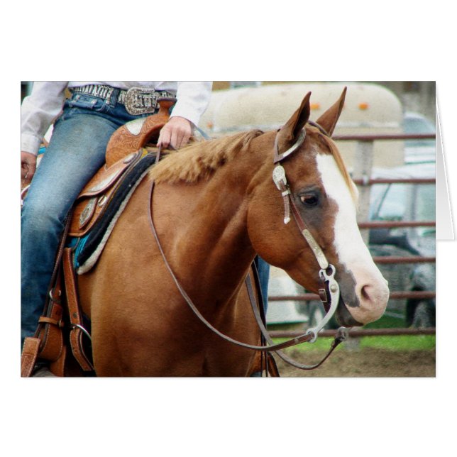 Western (Vorderseite (Horizontal))