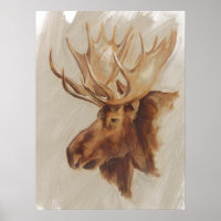 Western American Animal Study | Elche Portrait